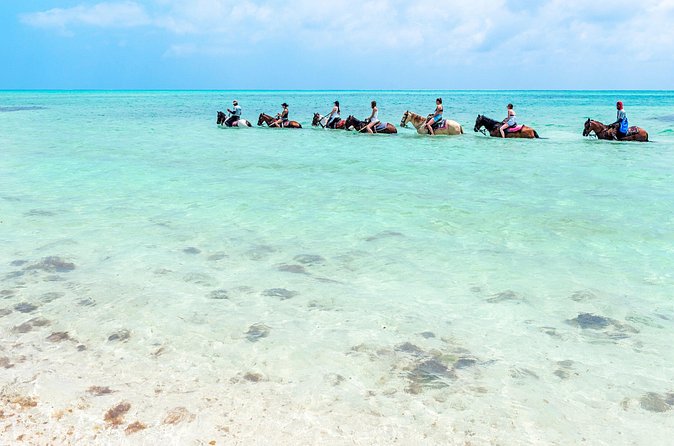 Group Beach and Ocean Horseback Adventure in Providenciales - What’s Included, and What You’re Responsible For