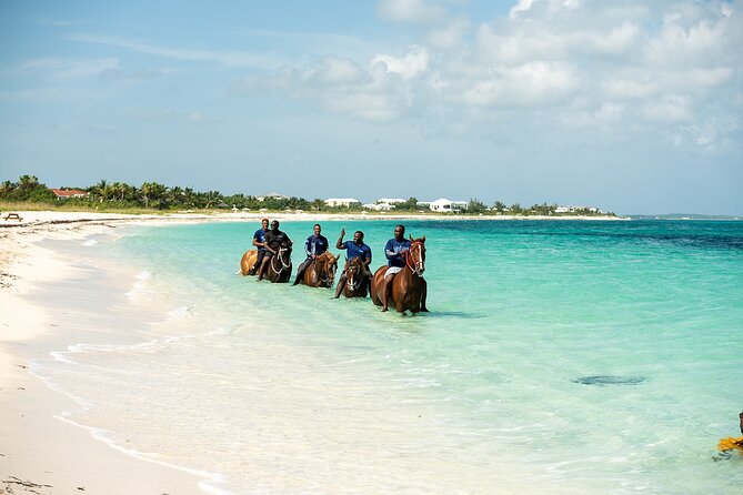 Group Beach and Ocean Horseback Adventure in Providenciales - Group Size, Pace, and Who This Ride Fits Best