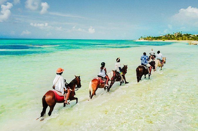 Group Beach and Ocean Horseback Adventure in Providenciales - Price and Value: Is $254 Fair for This One-Hour Experience?