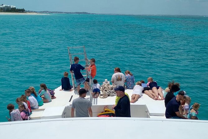 Group Reef, Beach and Sandbar Tour from Providenciales - What You’re Really Buying for $145.84
