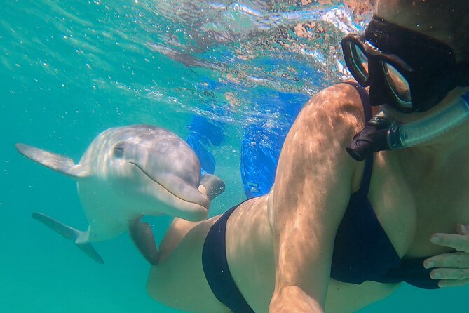 Group Reef, Beach and Sandbar Tour from Providenciales - Stop 4: Back to Grace Bay for Lunch and an Open Bar