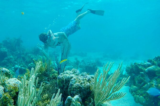 Group Reef, Beach and Sandbar Tour from Providenciales - The Crew Makes the Day, Especially When They Know Your Pace