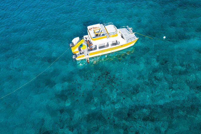 Half Day Private Boat Charter at Grace Bay, Providenciales - Stop 4: Lunch on a deserted cay, then a little shore time