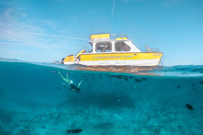 Half Day Private Boat Charter at Grace Bay, Providenciales - Stop 1: Grace Bay cruise and the barrier reef snorkel