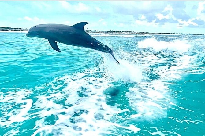 Half Day Snorkel from Providenciales with Visit to Half Moon Bay - What you’re served before and after you snorkel