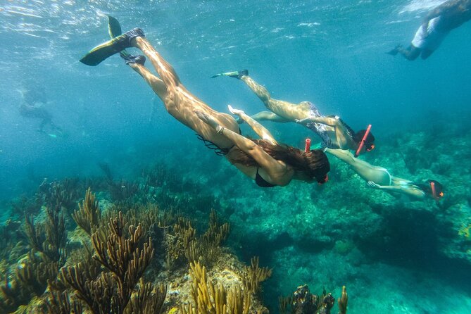 Half Day Snorkel from Providenciales with Visit to Half Moon Bay - Half Moon Bay and Little Water Cay (Iguana Island): sandbar time and rock iguanas