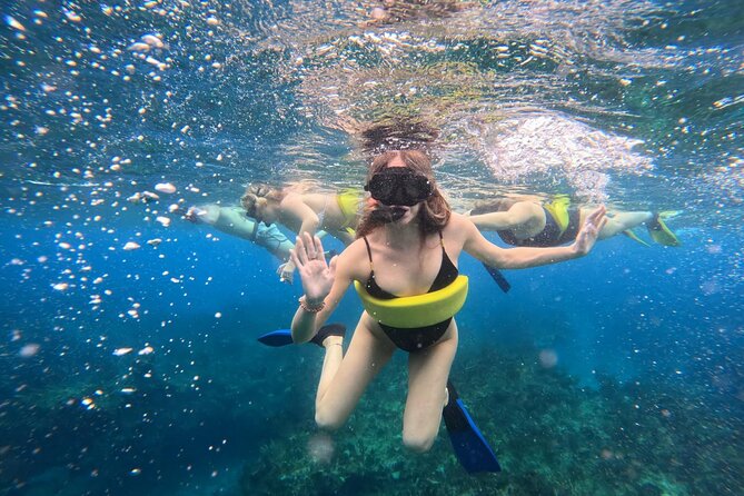 Half Day Snorkel from Providenciales with Visit to Half Moon Bay - Price and value: is $140 per person a smart use of your time?