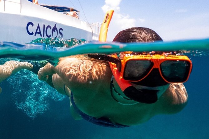 Half Day Snorkel from Providenciales with Visit to Half Moon Bay - The Leeward Reef snorkel: where the water does the selling
