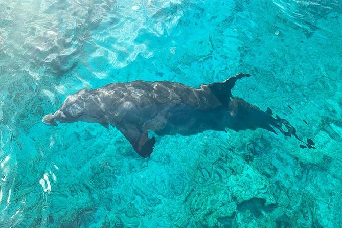 Half Day Snorkeling, Sightseeing & Island Hopping Private Charter (Afternoon) - Snacks, drinks, and snorkeling gear: included, so plan accordingly