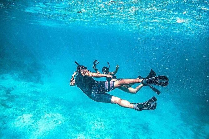 Half Day Snorkeling, Sightseeing & Island Hopping Private Charter (Afternoon) - Pine Cay: snorkeling and beach time in one hour