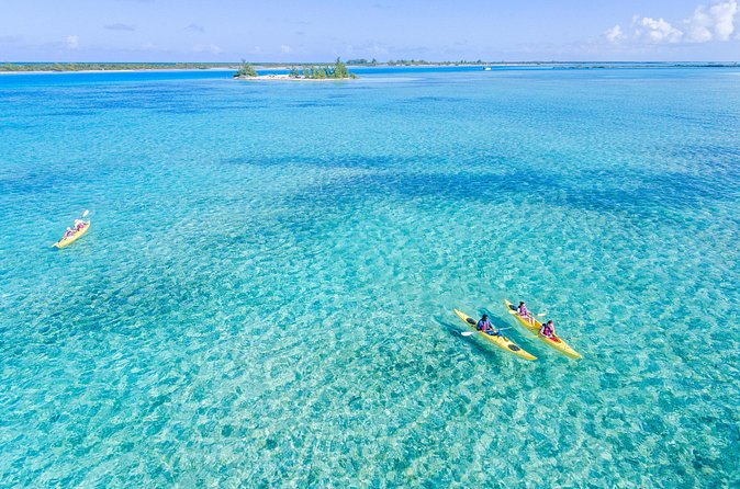 Kayak Eco Tour - Swim Time and the “Private Beach” Feeling