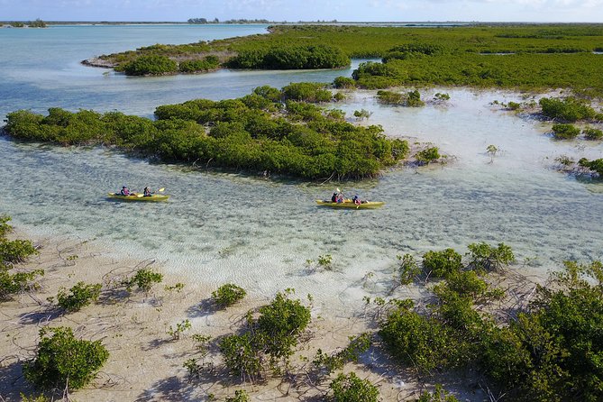 Kayak Eco Tour - Price, Included Fees, and Why This Feels Like Real Value