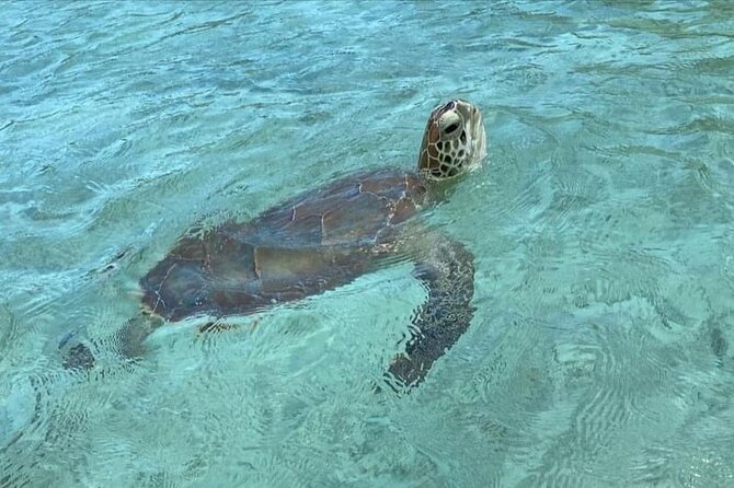 Let me take you to Caicos Jetski safari Private Tour - What $600 per group buys you (and how to think about value)