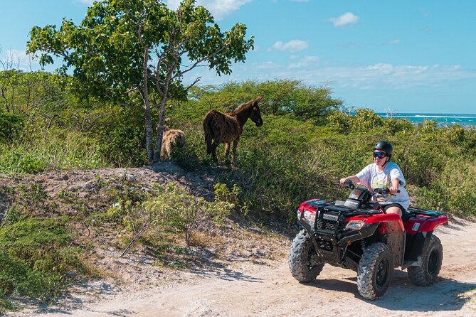 Lets Ride Adventures ATV Tour in Grand Turk - ATV thrills on Grand Turk, without losing your cruise day