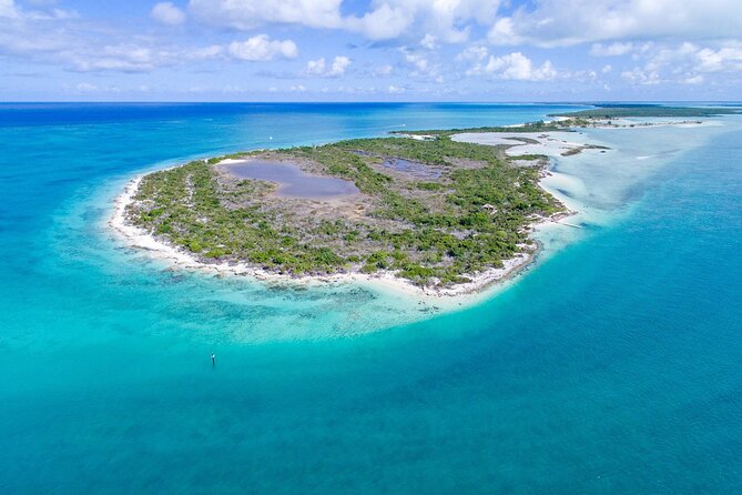 Mangrove Cay and Iguana Island Tours - Key things to know before you go