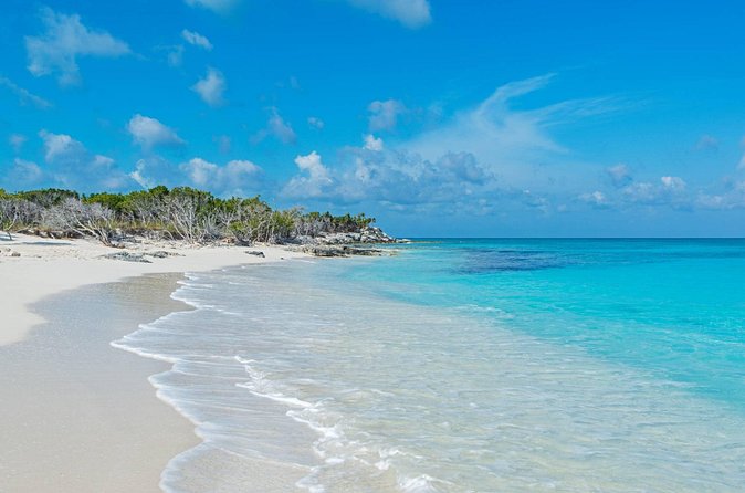 Mangrove Cay and Iguana Island Tours - Guide names, vibe check, and how to get the most out of the water