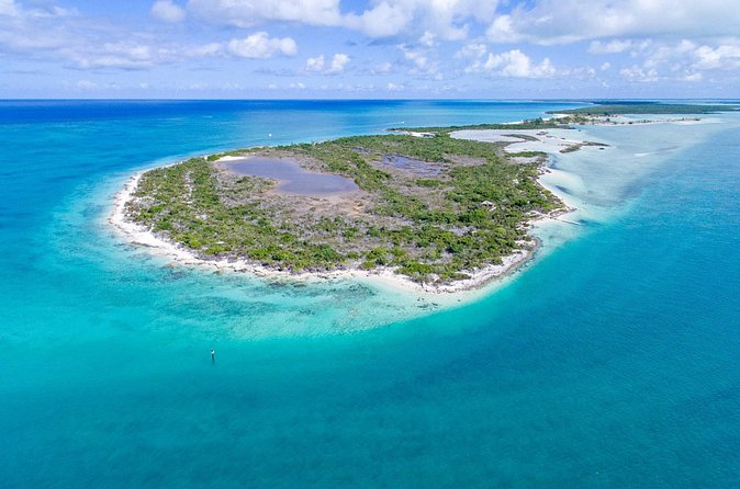 Mangrove Cay and Iguana Island Tours - Price and value: what $150 buys in Turks and Caicos
