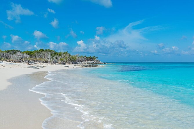 Mangrove Cay and Iguana Island Tours - Weather and timing: the day depends on the sea