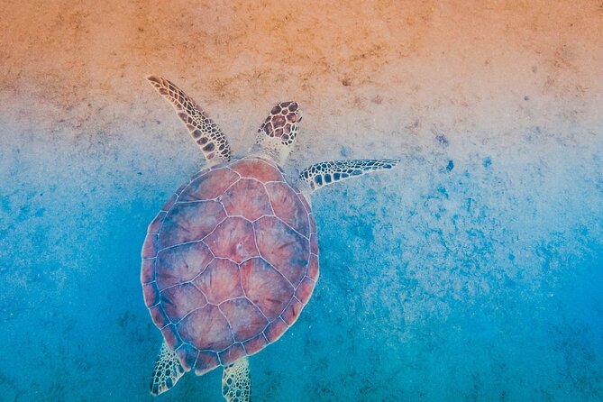 Mangrove Cay And Iguana Island Venture In Turks And Caicos Island - Who should book this, and who might think twice