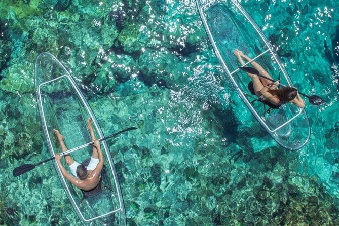 Mangrove Cay Tour - Key Things I’d Remember Before You Go