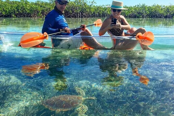 Mangrove Cay Tour - Birdwatching: The Bonus You’ll Be Glad You Notice