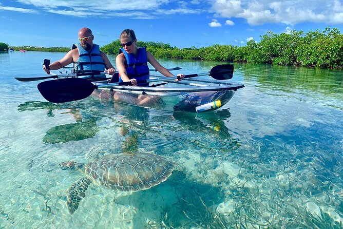 Mangrove Clear Kayak Tour - Mangrove Cay Through a Clear Kayak Bottom