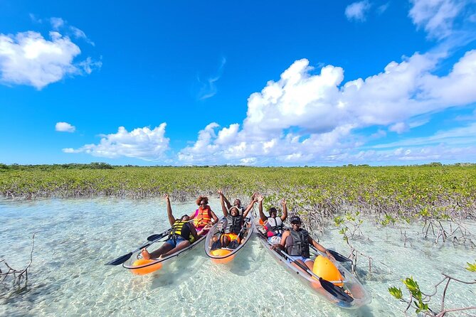 Mangrove Clear Kayak Tour - Price and Value: Is $125 Worth It?