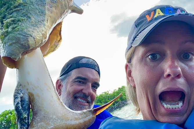 Mangrove & Iguana Clear Kayak Tour - Best Time to Go, and How to Avoid the Crowds Feeling Too Big