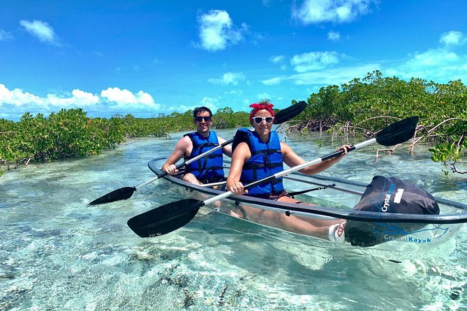 Mangrove & Iguana Clear Kayak Tour - Stop 1 at Mangrove Cay: Calm Estuaries and the Best Odds for Turtles