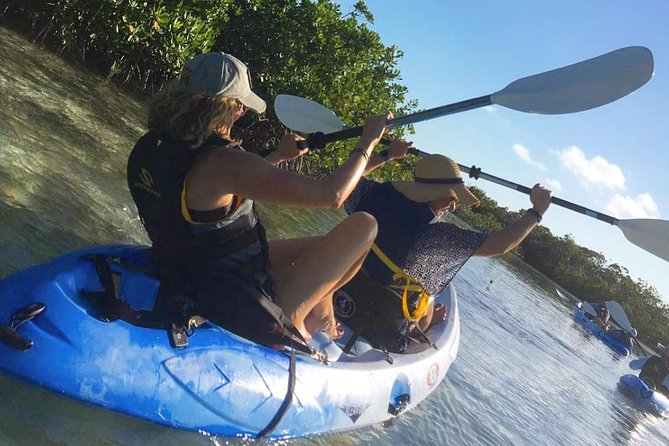 Mangroves Kayak Tour - Key things I’d watch for