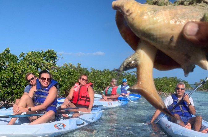 Mangroves Kayak Tour - Going at Your Own Pace, Plus Photos That Don’t Feel Awkward