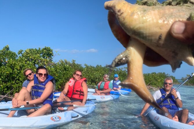 Mangroves Kayak Tour - Timing, Weather, and Tide Sensitivity on the Day