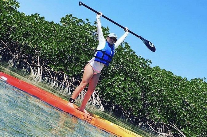 Mangroves Stand-Up Paddleboard Tour - Private Tour for Your Group, Not a Crowded Schedule