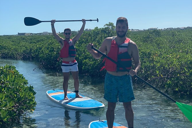 Mangroves Stand-Up Paddleboard Tour - Beginner Coaching That Actually Changes the Outcome