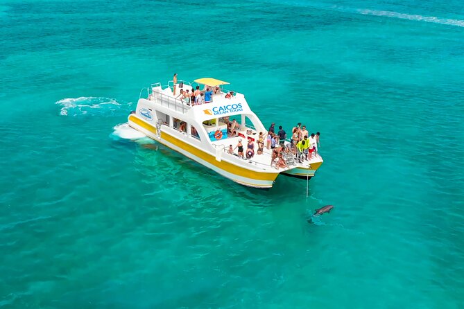 Morning Half Day Cruise from Providenciales with Snorkeling and Iguana Island - Grace Bay and the Half-Day format: why this feels like more than a tour