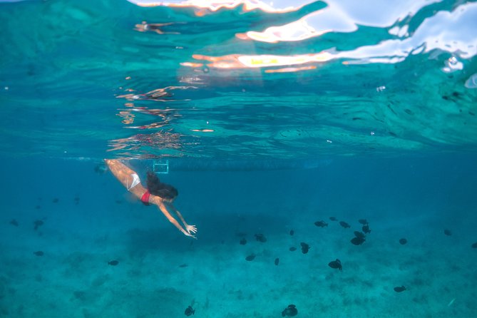 Morning Half Day Cruise from Providenciales with Snorkeling and Iguana Island - Cruising Grace Bay: the shoreline views you cannot recreate later