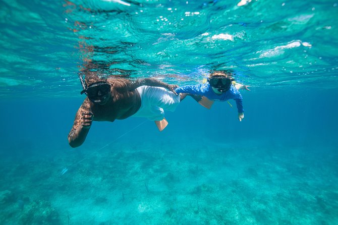 Morning Half Day Cruise from Providenciales with Snorkeling and Iguana Island - Iguana Island (Little Water Cay): endangered lizards and a real island feel
