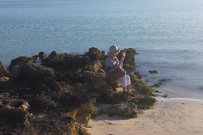 N&G Providenciales Island Tours of Turks and Caicos - Stop 3: Grace Bay Beach, Shell Hunting, and Reef Views
