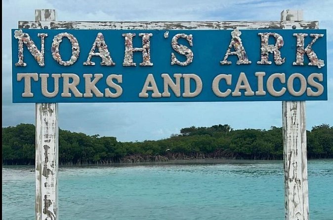 Noahs Ark Catamaran Trip - Pickup, timing, and why a 4-hour label can feel longer