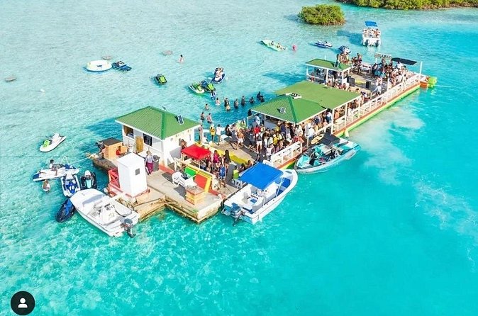 Noahs Ark Catamaran Trip - Value check: is $115 per person worth it?