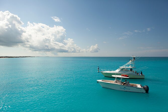 Private 1/2 Day Afternoon Bottom Fishing Charter on "Shady Grady" - Shady Grady comfort check, from twin Yamaha power to shaded seating