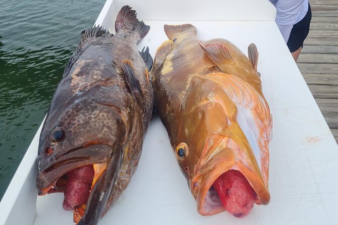 Private 1/2 Day Afternoon Bottom Fishing Charter on "Shady Grady" - The 1 pm departure and what the outer reef fishing day feels like