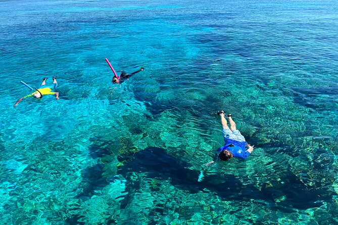 Private Boat Island Hopping & Snorkeling in Turks & Caicos 4Hrs - Snorkeling the La Famille Express Shipwreck: photos, timing, and realism