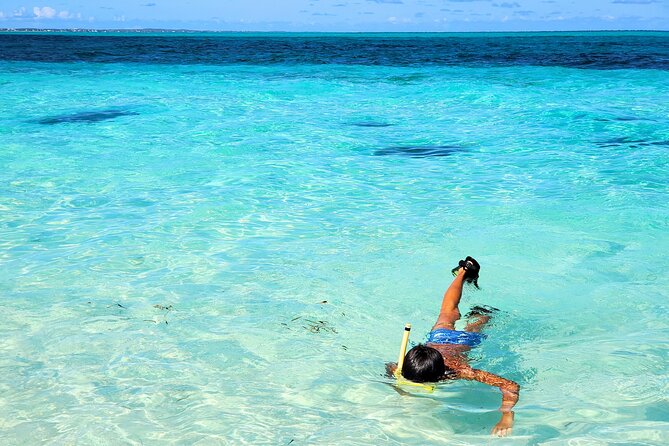 Private Boat Tour with Snorkeling, Island Hopping, and Noahs Ark - Leeward Beach at Noah’s Ark: hanging out is the main activity