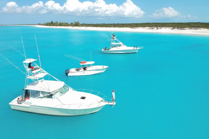 Private Deep Sea Fishing 1/2 Day morning on"Angler Management" - Snorkeling time between casts: more than just fishing