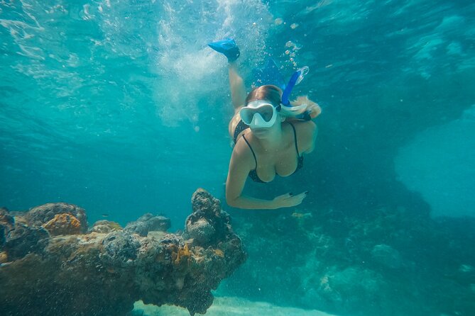 Private Half Day Luxury Snorkeling Charter - Price and group value for a half-day charter in Turks and Caicos