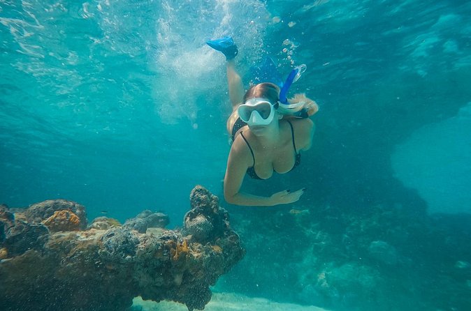 Private Half Day Luxury Snorkeling Charter - Sandbar time, island stops, and the payoff of slowing down