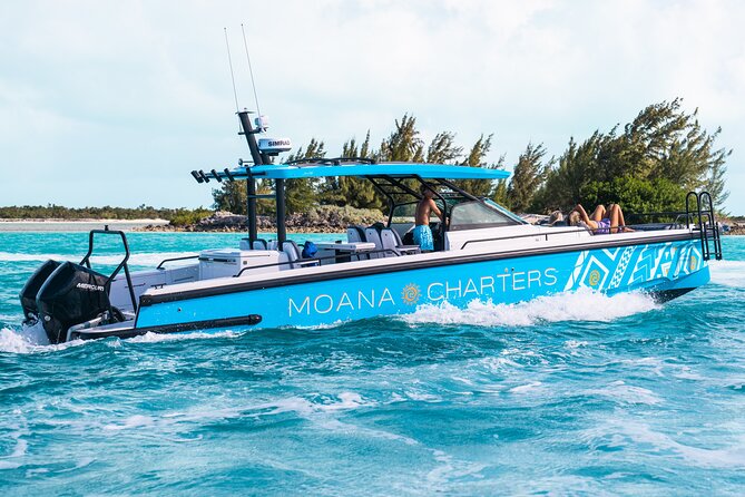 Private Half Day Luxury Snorkeling Charter - Shipwreck options and why they add more than scenery