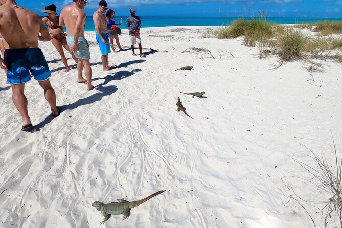 Private Reef, Beach and Sandbar Tour from Providenciales - Private catamaran energy in Providenciales