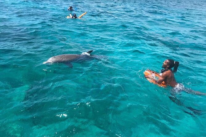 Private Reef, Beach and Sandbar Tour from Providenciales - Pine Cay and the north coast cruise with Fort George style beach time